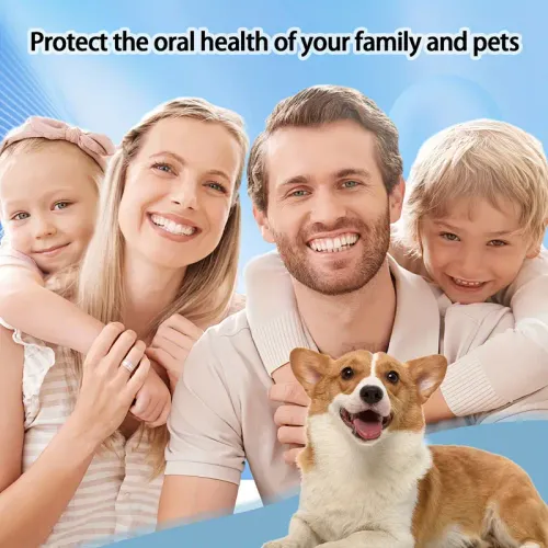 Electric Teeth Cleaner Set