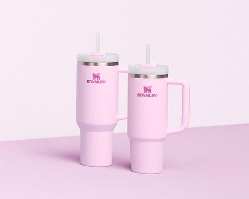 Stanley Quencher H2.0 Tumbler with Handle and Straw 40 oz
