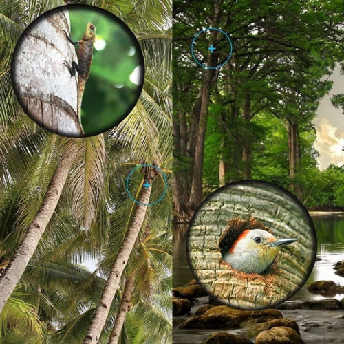 16X52 Monocular bifocal optical zoom telescope