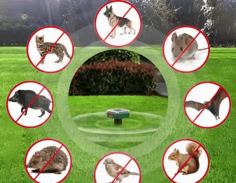 🔥 Solar Power Mouse Mole Snakes Pest Rodent Repeller（Four packs）