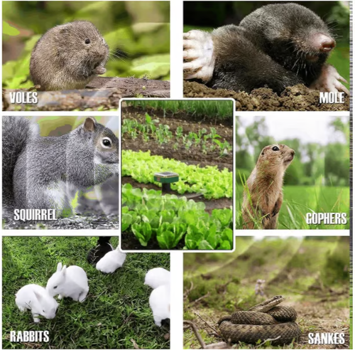 🔥 Solar Power Mouse Mole Snakes Pest Rodent Repeller（Four packs）