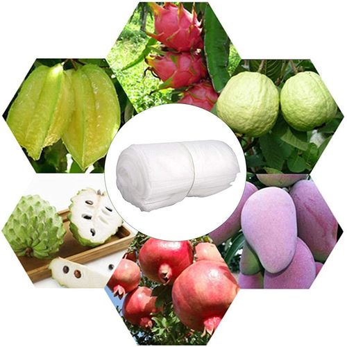 Eco-friendly breathable, and water resistant PP spunbond non woven fruit bags for agriculture  reusable, biodegradable protective covers for grapes and other fruits.