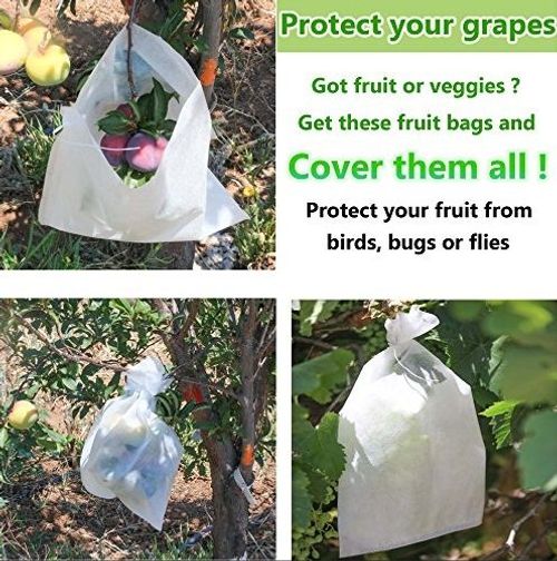 Eco-friendly breathable, and water resistant PP spunbond non woven fruit bags for agriculture  reusable, biodegradable protective covers for grapes and other fruits.