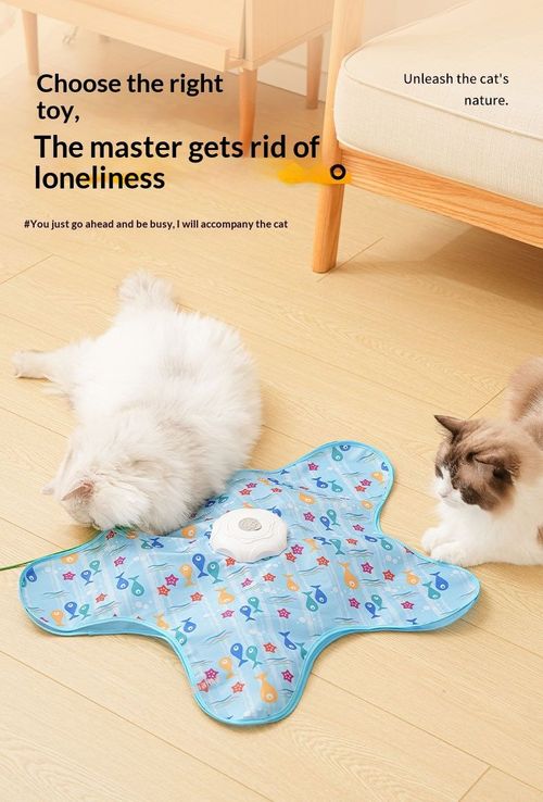 Cat Hunting Toy Cover