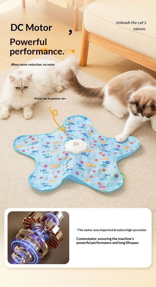 Cat Hunting Toy Cover