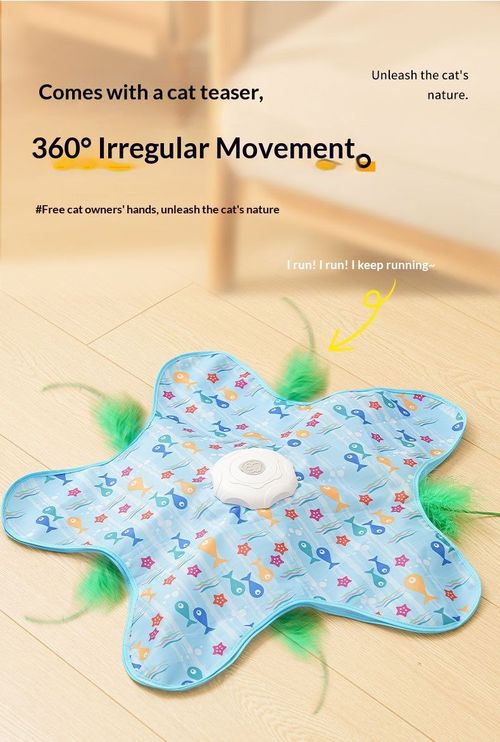 Cat Hunting Toy Cover