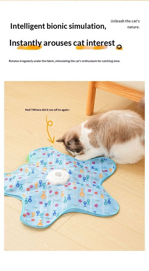 Cat Hunting Toy Cover