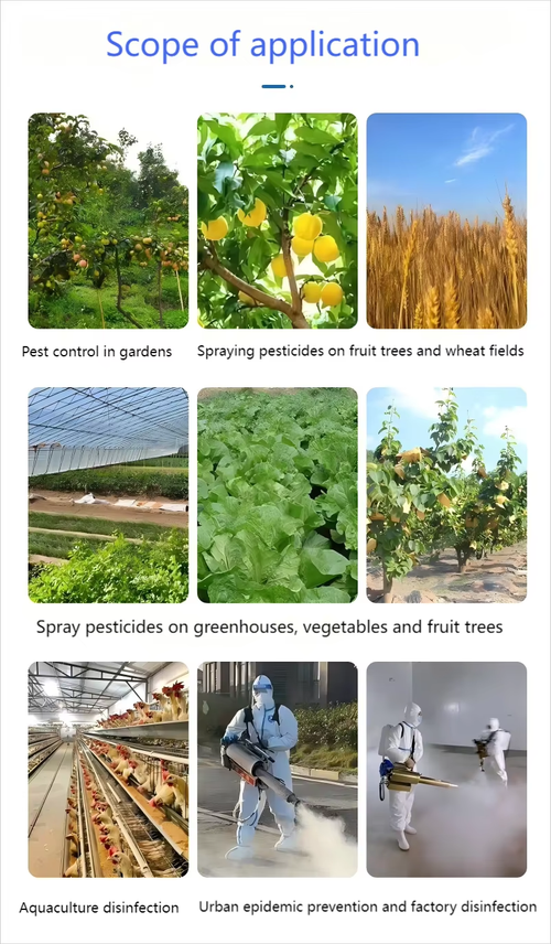 Pulsed Power Thermal Fogging Machine Disinfectant Sprayer for Agriculture Pest Control Greenhouse Kenya