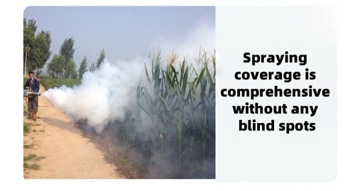 Pulsed Power Thermal Fogging Machine Disinfectant Sprayer for Agriculture Pest Control Greenhouse Kenya