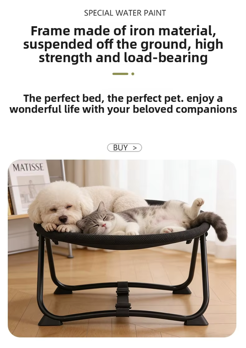 Foldable Elevated Pet Camping Bed for Dogs & Cats