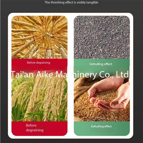 Dual Power Grain Thresher Machine 2.2KW Gasoline Electric Bean Rapeseed Harvester for Kenyan Farms