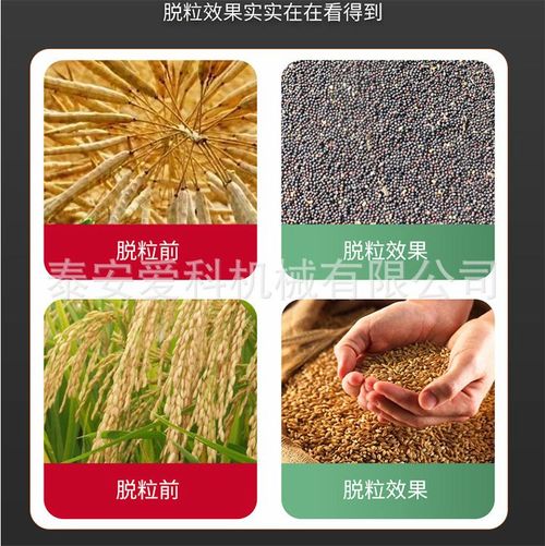 Dual Power Grain Thresher Machine 2.2KW Gasoline Electric Bean Rapeseed Harvester for Kenyan Farms