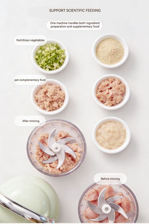 Mini Electric Food Chopper for Garlic Chili Baby Food
