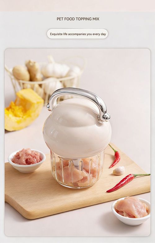 Mini Electric Food Chopper for Garlic Chili Baby Food