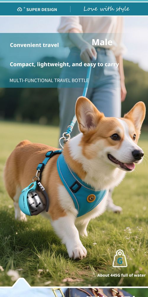 Portable Stainless Steel Pet Water Dispenser for Dogs & Cats