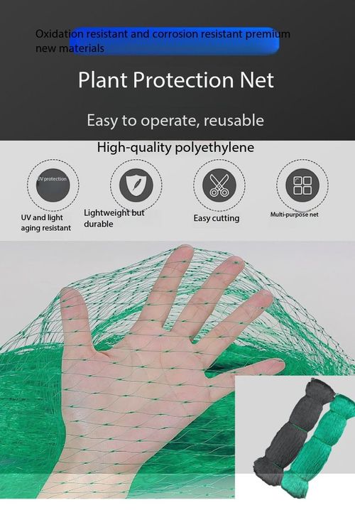 Anti Bird Net Garden Protection Mesh for Fruit Trees Vegetables Greenhouse Kenya Agriculture