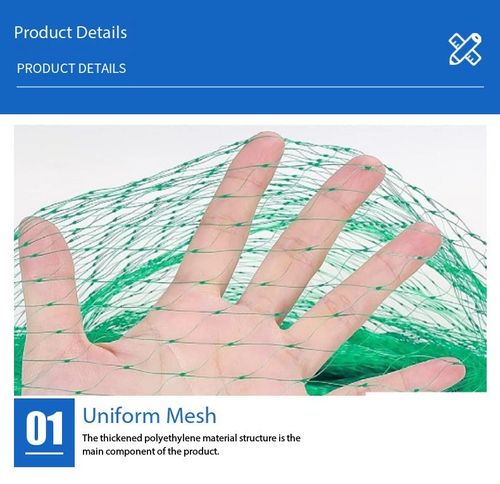 Anti Bird Net Garden Protection Mesh for Fruit Trees Vegetables Greenhouse Kenya Agriculture