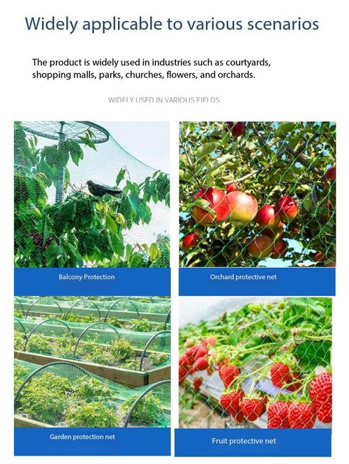 Anti Bird Net Garden Protection Mesh for Fruit Trees Vegetables Greenhouse Kenya Agriculture