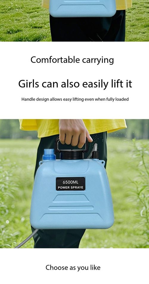 6.5L Rechargeable Electric Knapsack Sprayer For Kenyan Farm & Garden