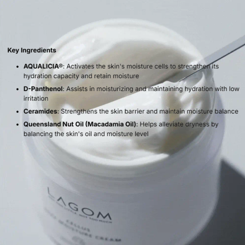 Deep Hydrating Facial Moisturizer Long Lasting Dry Skin Repair Cream