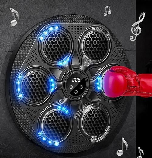 Smart Music Boxing Machine LED Light Boxing Trainer Bluetooth Wall Mount Punching Bag for Home Fitness Kenya