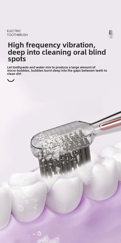Sushuang E3 Sonic Electric Toothbrush IPX8 Waterproof Sweep Vibration Low Noise Adult Oral Care Kenya
