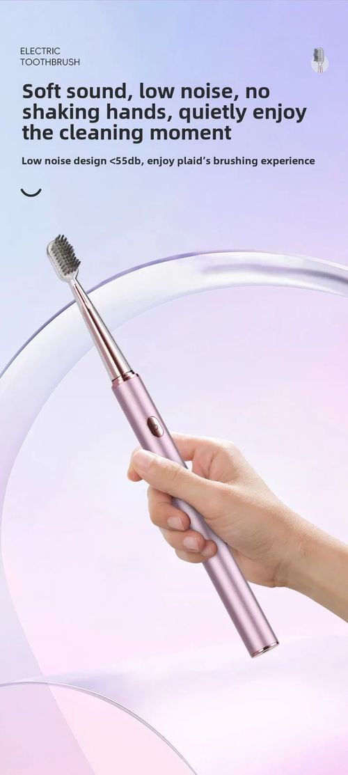 Sushuang E3 Sonic Electric Toothbrush IPX8 Waterproof Sweep Vibration Low Noise Adult Oral Care Kenya