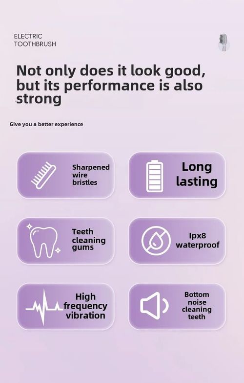 Sushuang E3 Sonic Electric Toothbrush IPX8 Waterproof Sweep Vibration Low Noise Adult Oral Care Kenya