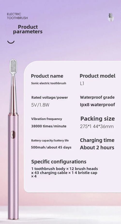 Sushuang E3 Sonic Electric Toothbrush IPX8 Waterproof Sweep Vibration Low Noise Adult Oral Care Kenya