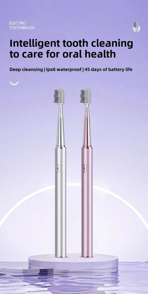 Sushuang E3 Sonic Electric Toothbrush IPX8 Waterproof Sweep Vibration Low Noise Adult Oral Care Kenya