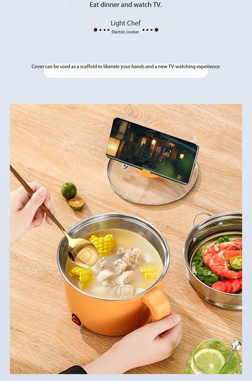 Mini Electric Cooking Pot Multi-function Boiler Fryer Hot Pot No Steamer for Dorm Home
