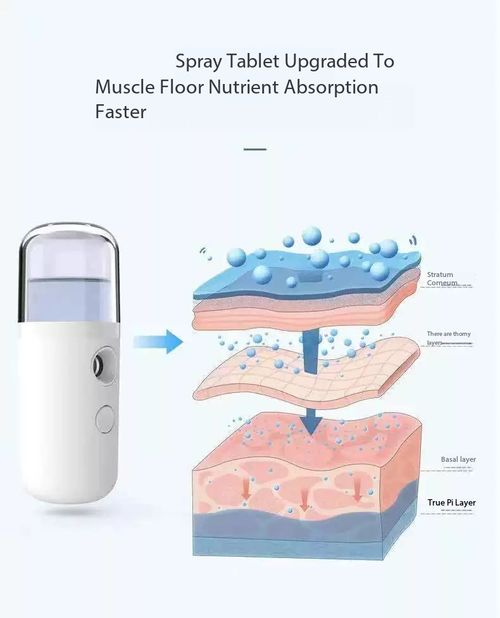 Portable Handheld Facial Mist Sprayer