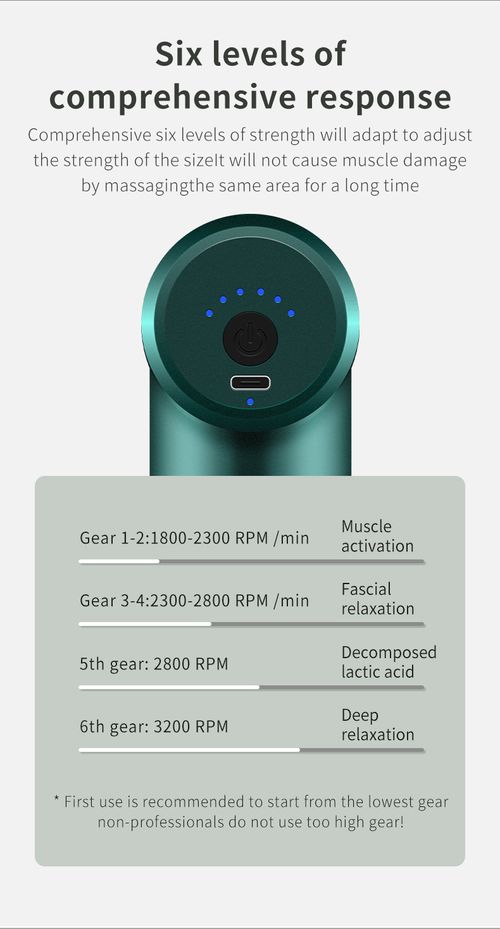 Portable Muscle Massage Gun