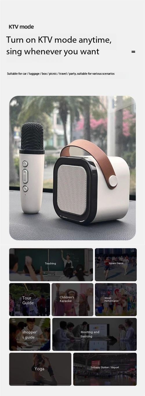 Mini Portable Karaoke Speaker with Dual Microphones