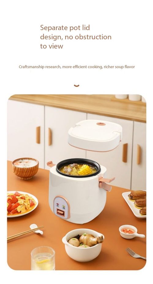 1.2L Portable Mini Rice Cooker Multi-Function Electric Pot for Home & Dorm
