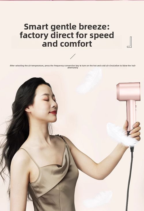 High Speed Bladeless Hair Dryer Negative Ion Constant Temperature Luxury Gift Set