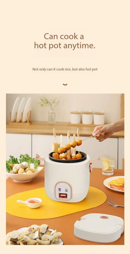 1.2L Portable Mini Rice Cooker Multi-Function Electric Pot for Home & Dorm