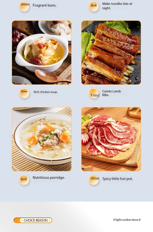 Mini Electric Cooking Pot Multi-function Boiler Fryer Hot Pot No Steamer for Dorm Home