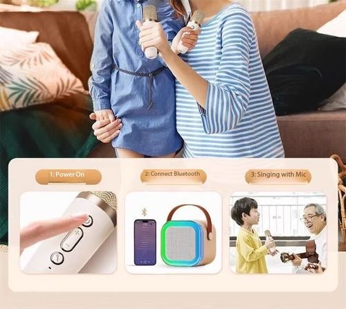 Mini Portable Karaoke Speaker with Dual Microphones