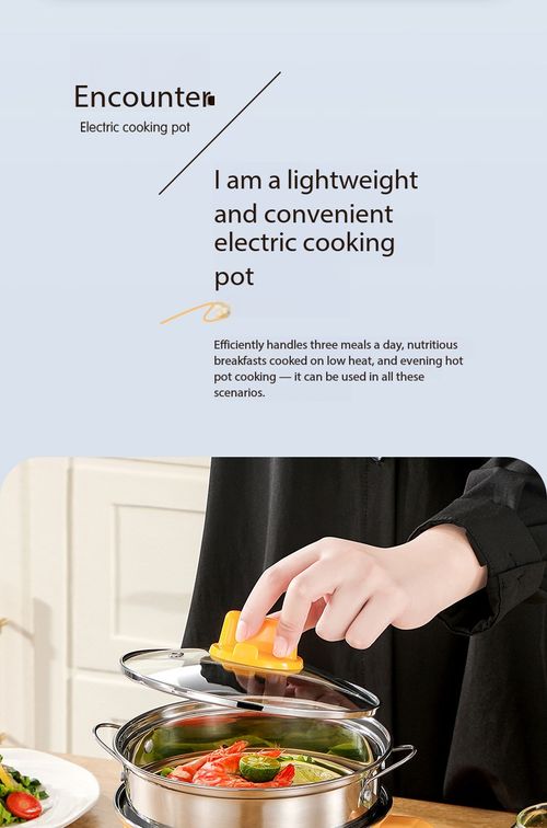 Mini Electric Cooking Pot Multi-function Boiler Fryer Hot Pot No Steamer for Dorm Home