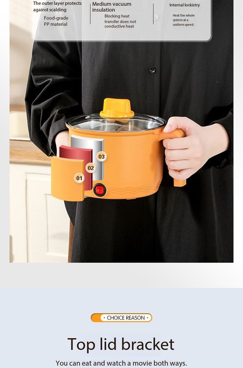 Mini Electric Cooking Pot Multi-function Boiler Fryer Hot Pot No Steamer for Dorm Home