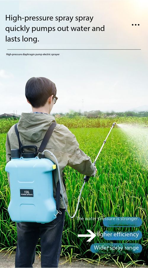 13L Electric Backpack Sprayer