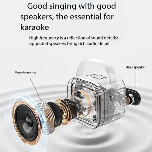 Mini Portable Karaoke Speaker with Dual Microphones
