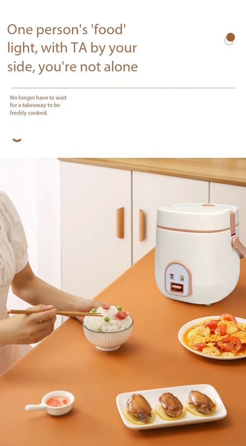 1.2L Portable Mini Rice Cooker Multi-Function Electric Pot for Home & Dorm