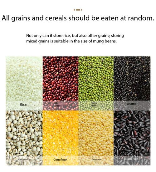 Multi-Compartment Grain Cereal Dispenser Sealed Storage Container