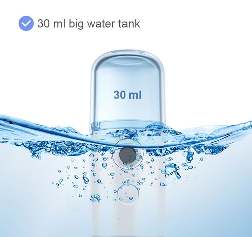 Portable Handheld Facial Mist Sprayer