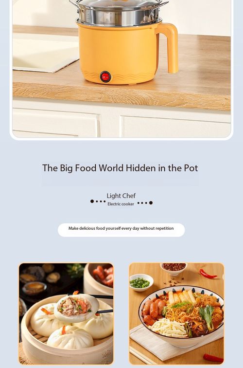 Mini Electric Cooking Pot Multi-function Boiler Fryer Hot Pot No Steamer for Dorm Home