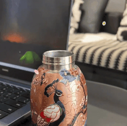 Portable Insulated Water Bottle