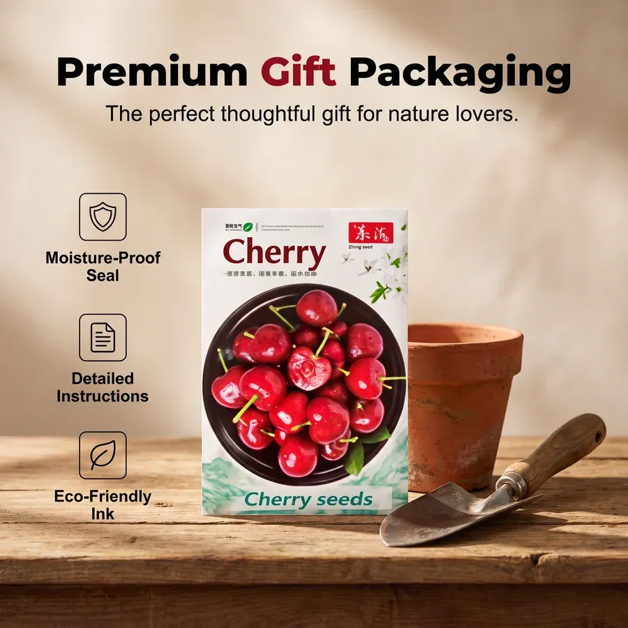 Premium sweet cherry pits800pc