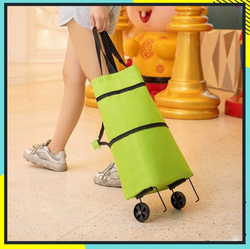 Large capacity shopping cart
